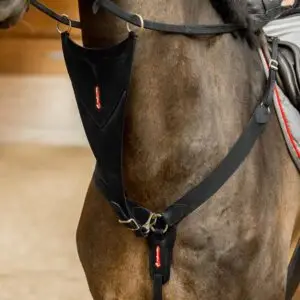 Förbygel & Martingal