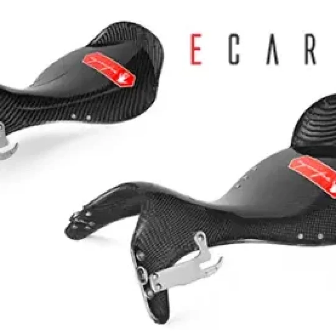 Ecarbon-seat